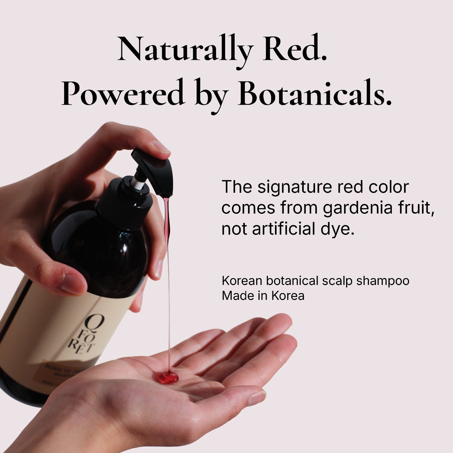 Born to Grow  Red Korean Botanical Scalp Shampoo