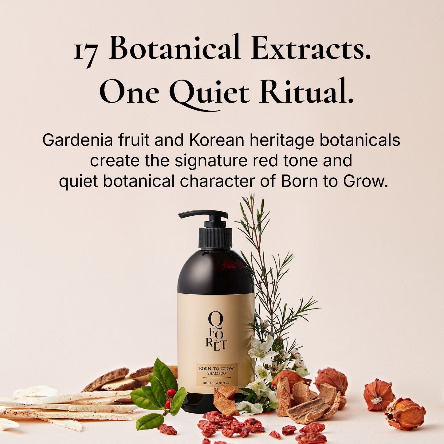 Born to Grow  Red Korean Botanical Scalp Shampoo