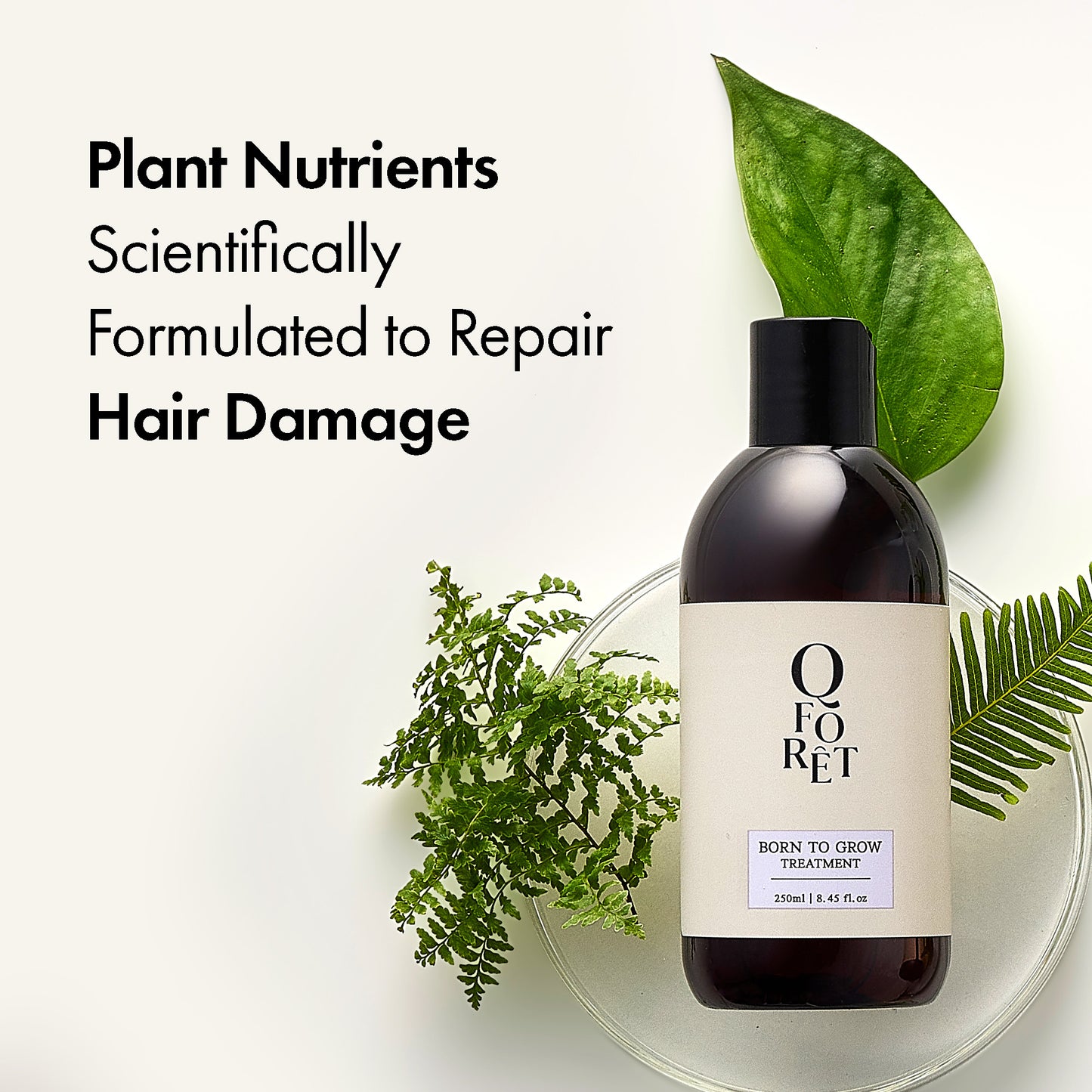 Born to Grow Korean Scalp and Hair Treatment, 8.45 fl oz